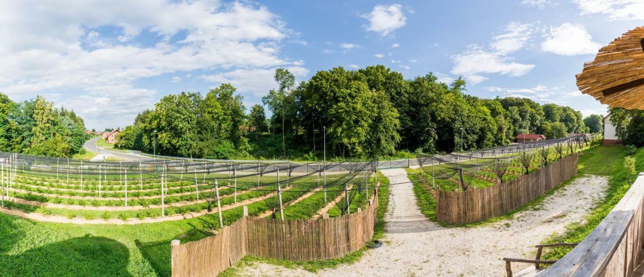 Apartma Zemljanka Ljutomer Luaran gambar